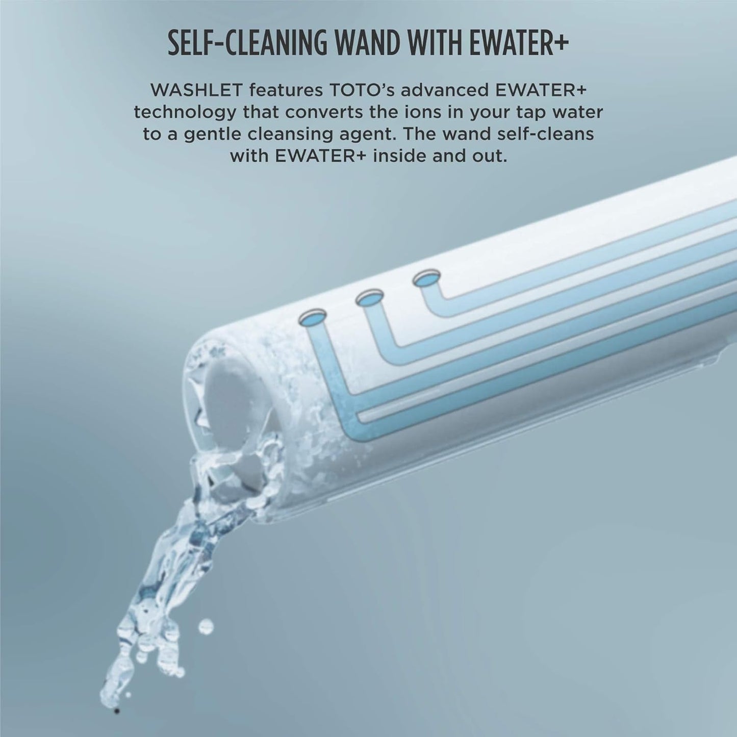 TOTO Washlet C5 with Remote