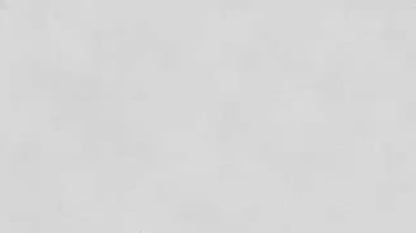 All-In-One Bidet Seat